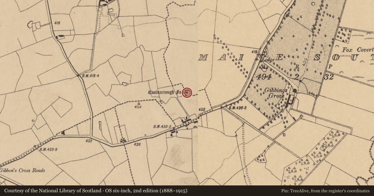 Ordnance Survey six-inch map, 2nd edition (1888–1915) covering the location of Ringfort - rath, Maine South, County Cork, with a pin at the register's coordinates
