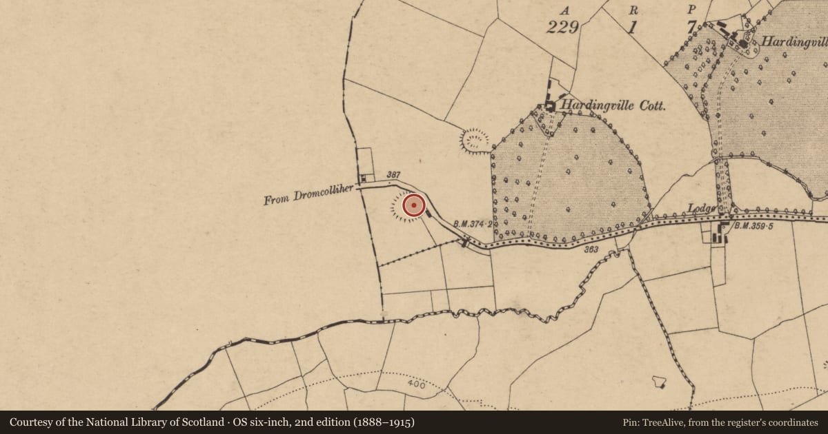 Ordnance Survey six-inch map, 2nd edition (1888–1915) covering the location of Ringfort - rath, Coolnagour, County Cork, with a pin at the register's coordinates