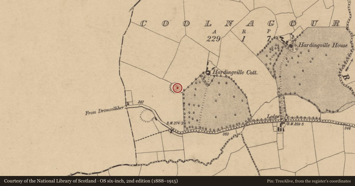 Ordnance Survey six-inch map, 2nd edition (1888–1915) covering the location of Ringfort - rath, Coolnagour, County Cork, with a pin at the register's coordinates