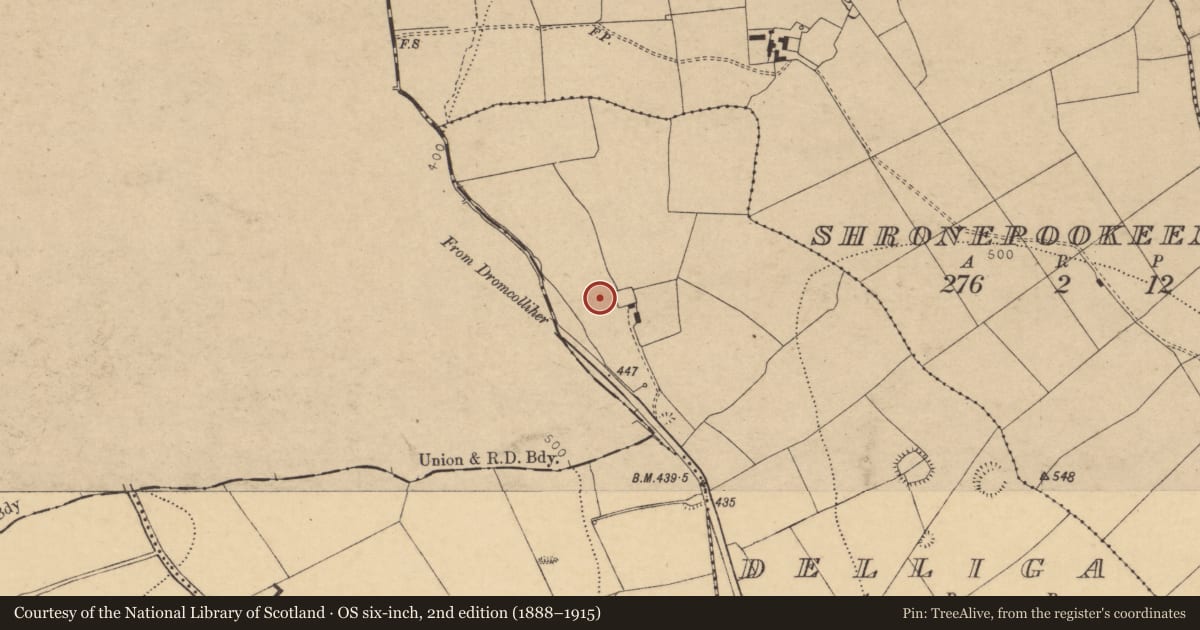 Ordnance Survey six-inch map, 2nd edition (1888–1915) covering the location of Fulacht fia, Delliga, County Cork, with a pin at the register's coordinates