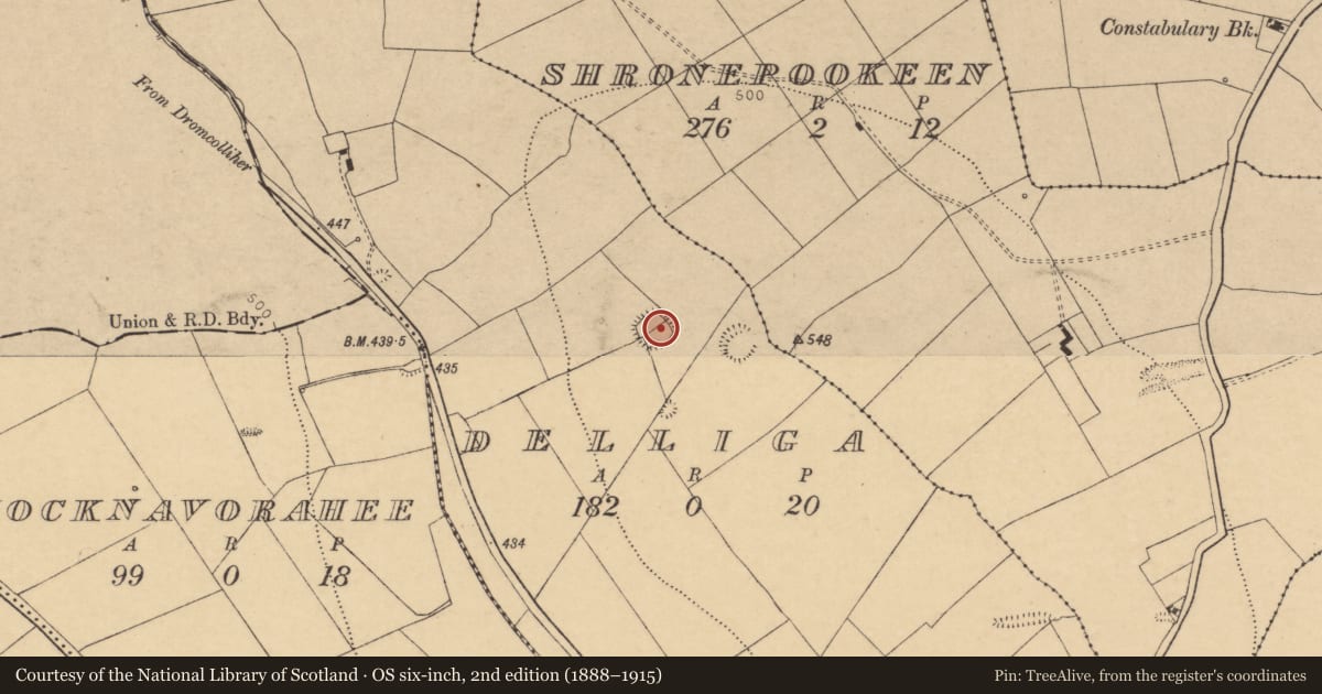 Ordnance Survey six-inch map, 2nd edition (1888–1915) covering the location of Ringfort - rath, Delliga, County Cork, with a pin at the register's coordinates