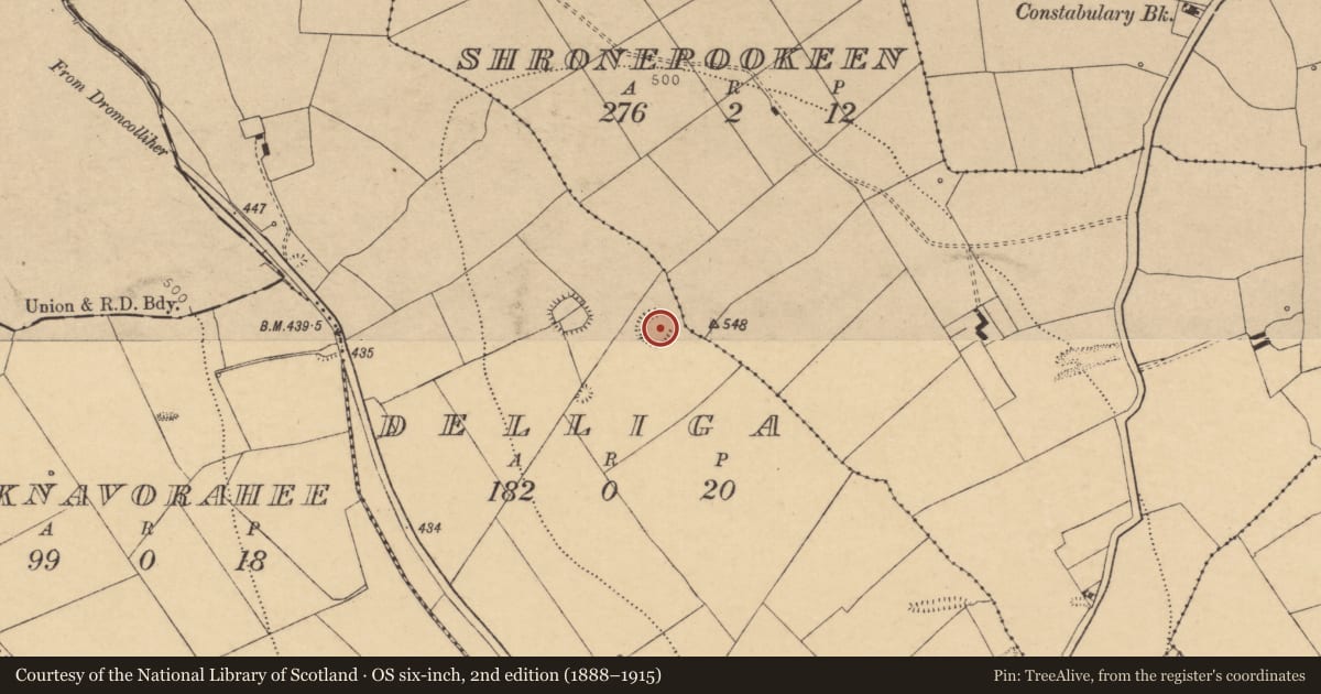 Ordnance Survey six-inch map, 2nd edition (1888–1915) covering the location of Ringfort - rath, Delliga, County Cork, with a pin at the register's coordinates