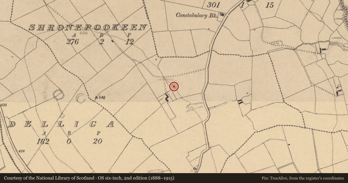 Ordnance Survey six-inch map, 2nd edition (1888–1915) covering the location of Fulacht fia, Shronepookeen, County Cork, with a pin at the register's coordinates