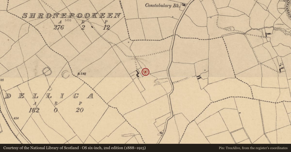 Ordnance Survey six-inch map, 2nd edition (1888–1915) covering the location of Fulacht fia, Shronepookeen, County Cork, with a pin at the register's coordinates