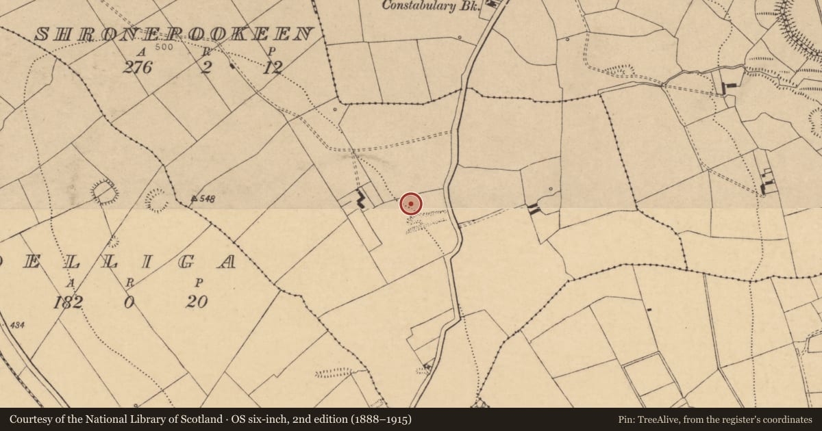 Ordnance Survey six-inch map, 2nd edition (1888–1915) covering the location of Fulacht fia, Shronepookeen, County Cork, with a pin at the register's coordinates