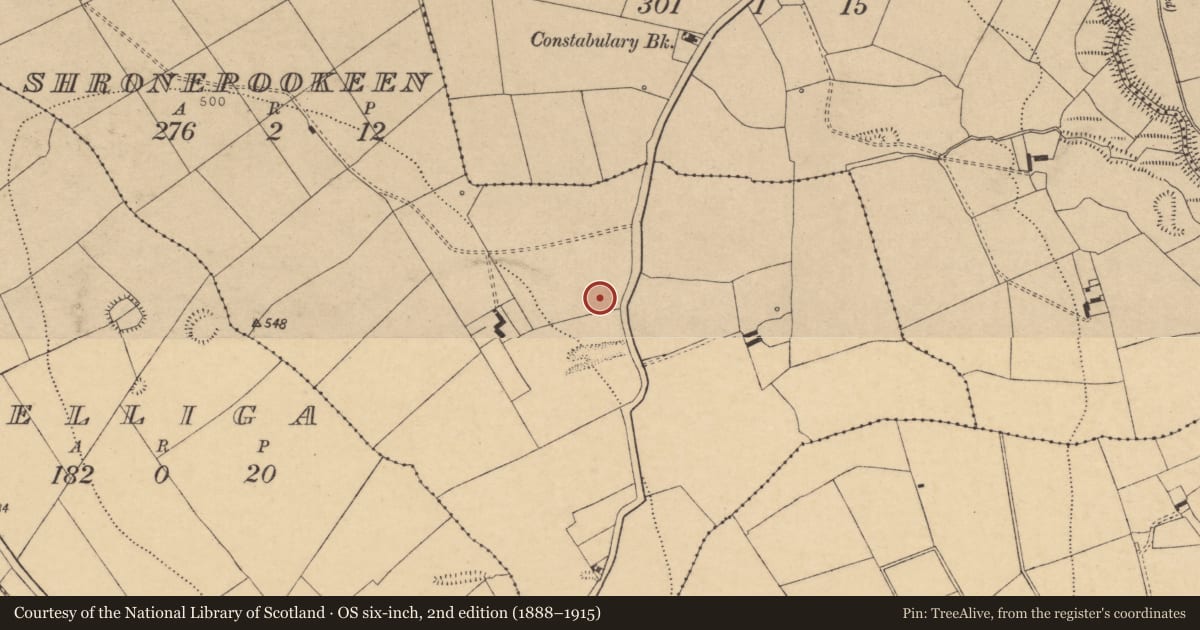 Ordnance Survey six-inch map, 2nd edition (1888–1915) covering the location of Fulacht fia, Shronepookeen, County Cork, with a pin at the register's coordinates
