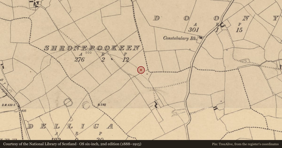 Ordnance Survey six-inch map, 2nd edition (1888–1915) covering the location of Fulacht fia, Shronepookeen, County Cork, with a pin at the register's coordinates
