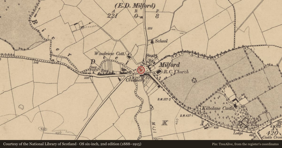 Ordnance Survey six-inch map, 2nd edition (1888–1915) covering the location of Church, Kilbolane, County Cork, with a pin at the register's coordinates