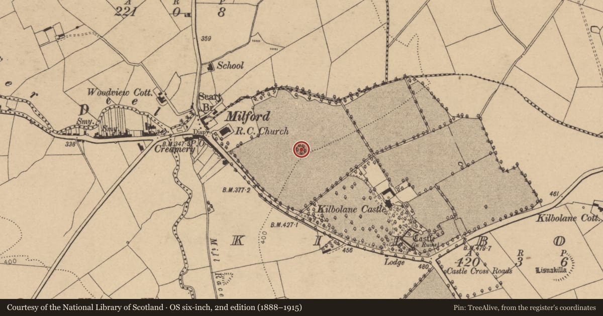Ordnance Survey six-inch map, 2nd edition (1888–1915) covering the location of Designed landscape - tree-ring, Kilbolane, County Cork, with a pin at the register's coordinates