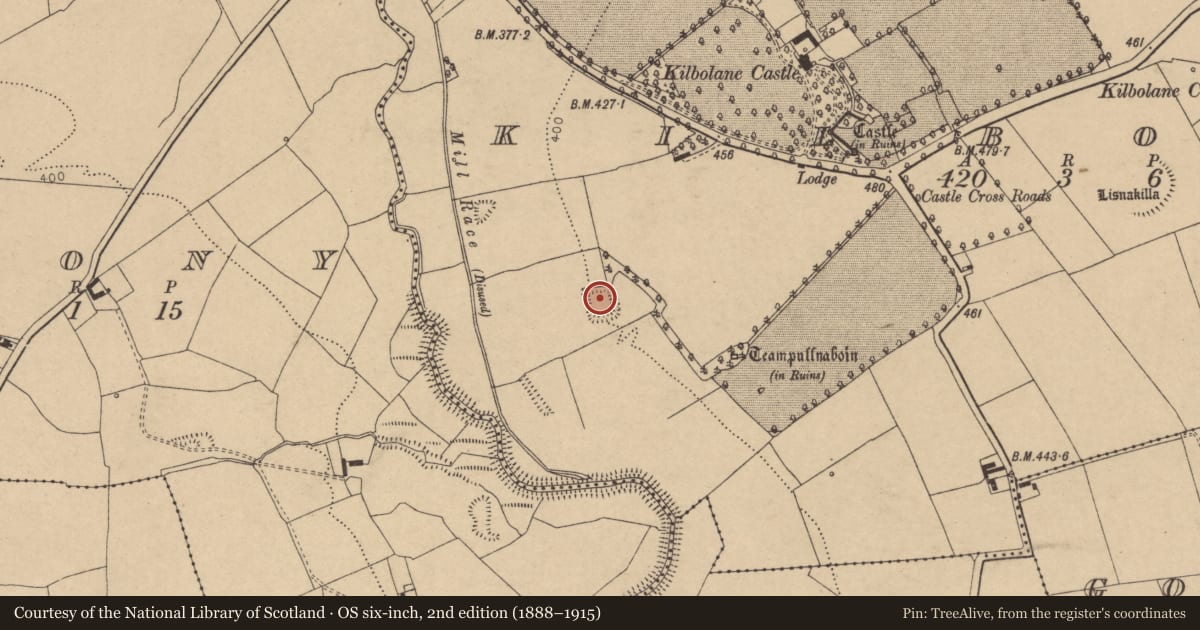 Ordnance Survey six-inch map, 2nd edition (1888–1915) covering the location of Moated site, Kilbolane, County Cork, with a pin at the register's coordinates