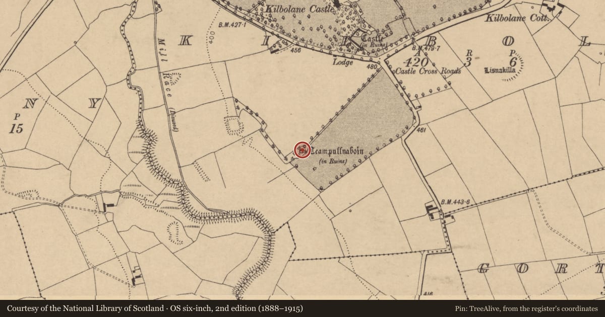 Ordnance Survey six-inch map, 2nd edition (1888–1915) covering the location of Church, Kilbolane, County Cork, with a pin at the register's coordinates