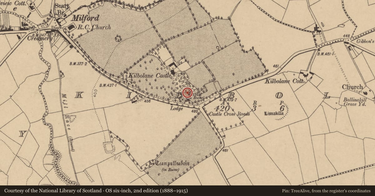Ordnance Survey six-inch map, 2nd edition (1888–1915) covering the location of Castle - Anglo-Norman masonry castle, Kilbolane, County Cork, with a pin at the register's coordinates