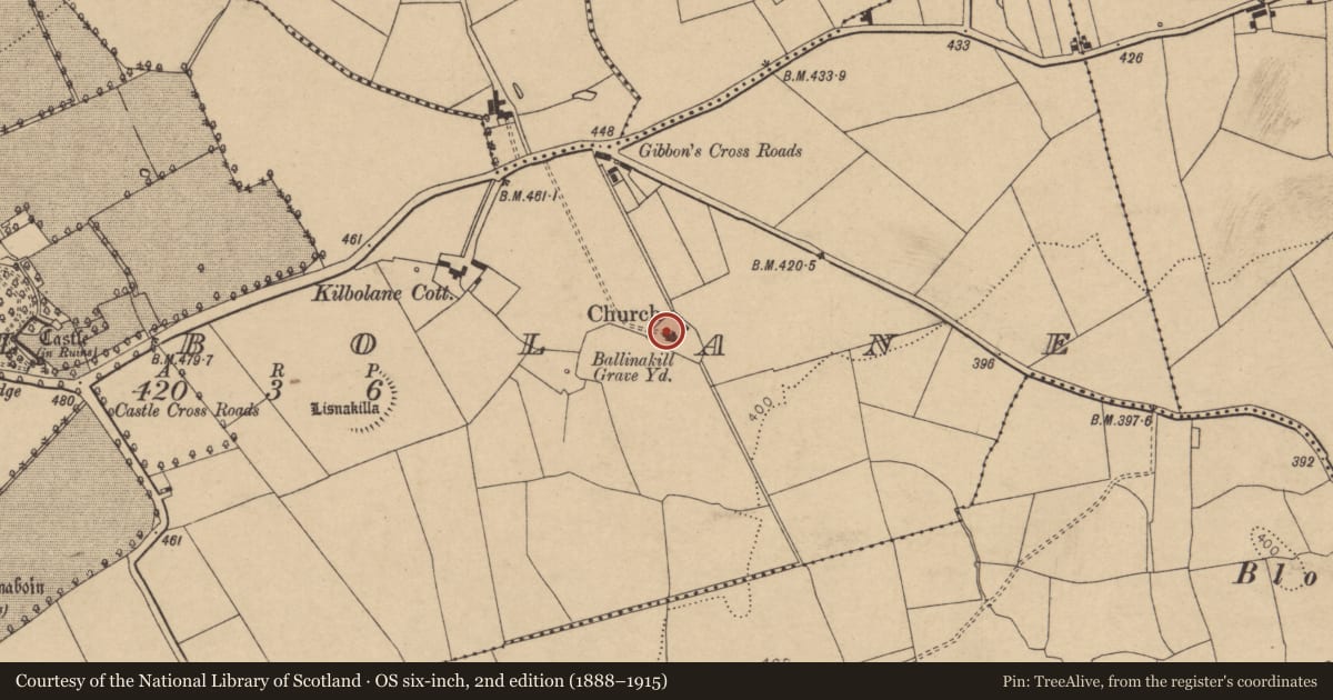 Ordnance Survey six-inch map, 2nd edition (1888–1915) covering the location of Church, Kilbolane, County Cork, with a pin at the register's coordinates