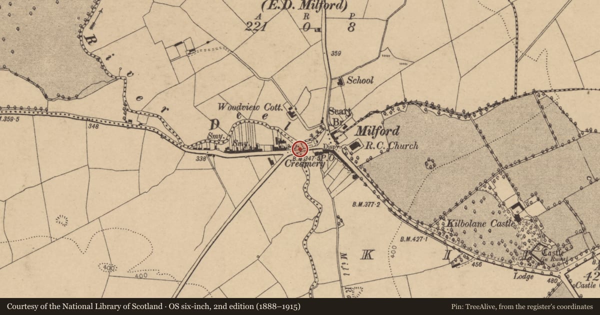 Ordnance Survey six-inch map, 2nd edition (1888–1915) covering the location of Bridge, Doony, Kilbolane, County Cork, with a pin at the register's coordinates