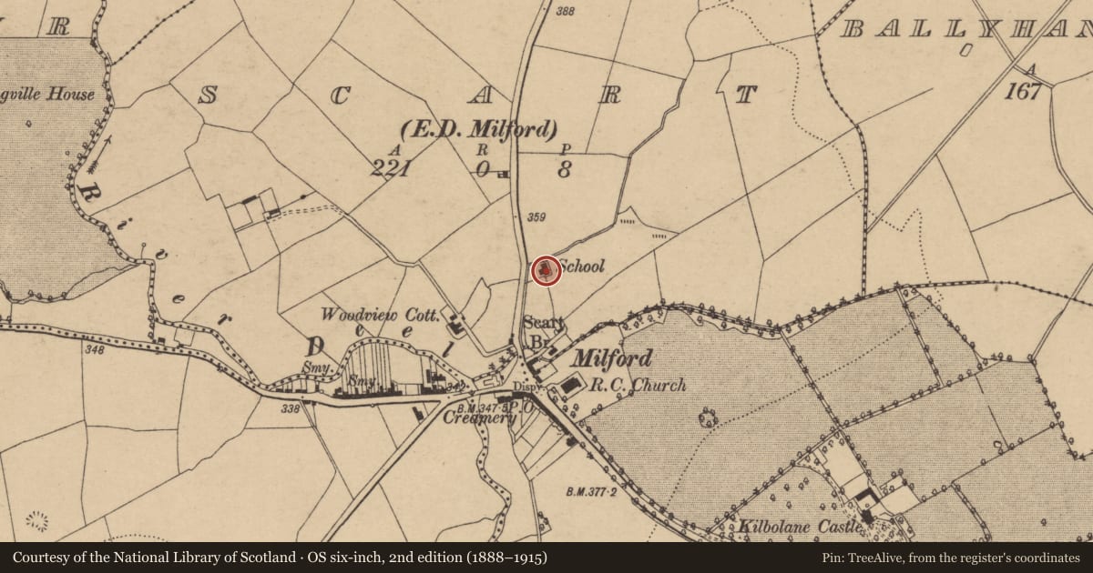Ordnance Survey six-inch map, 2nd edition (1888–1915) covering the location of School, Scart (Orrery and Kilmore By., Kilbolane Par.), County Cork, with a pin at the register's coordinates