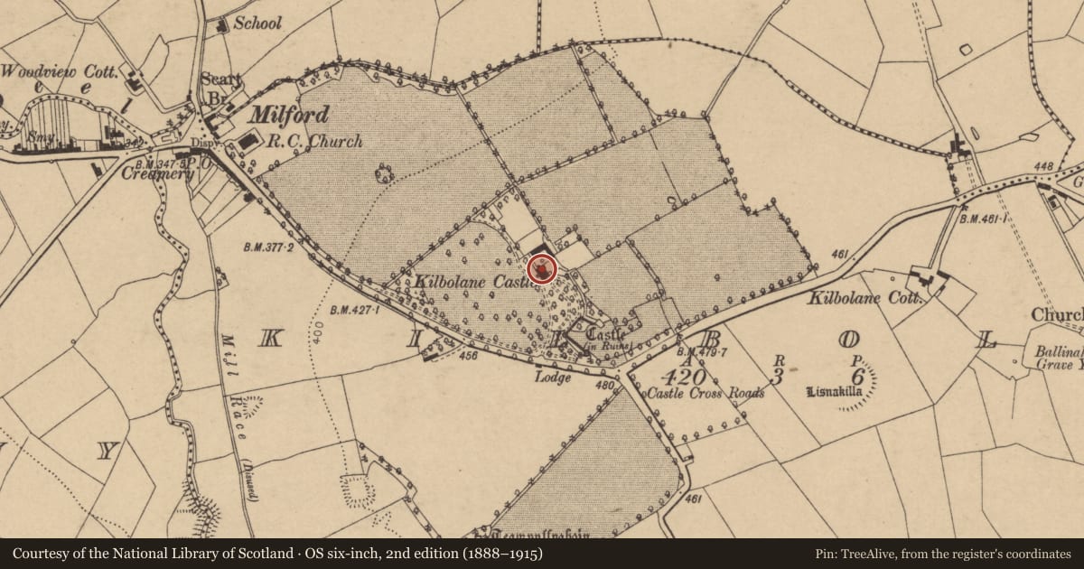Ordnance Survey six-inch map, 2nd edition (1888–1915) covering the location of Country house, Kilbolane, County Cork, with a pin at the register's coordinates