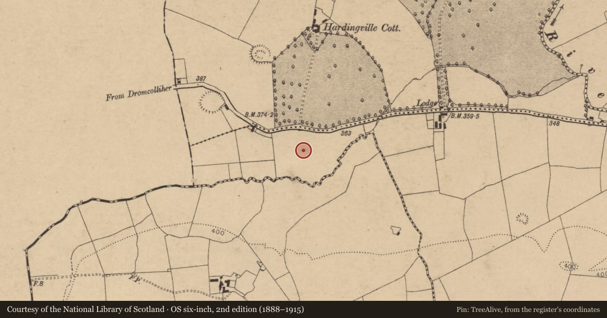 Ordnance Survey six-inch map, 2nd edition (1888–1915) covering the location of Concentric enclosure, Doony, County Cork, with a pin at the register's coordinates