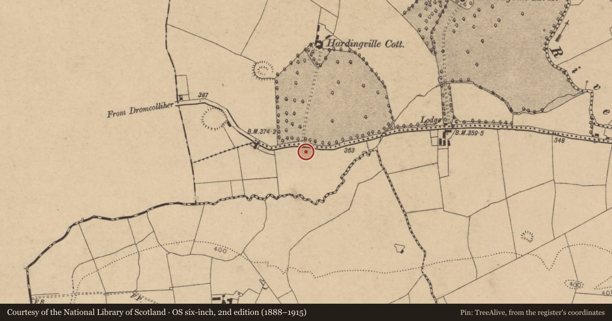 Ordnance Survey six-inch map, 2nd edition (1888–1915) covering the location of Enclosure, Doony, County Cork, with a pin at the register's coordinates