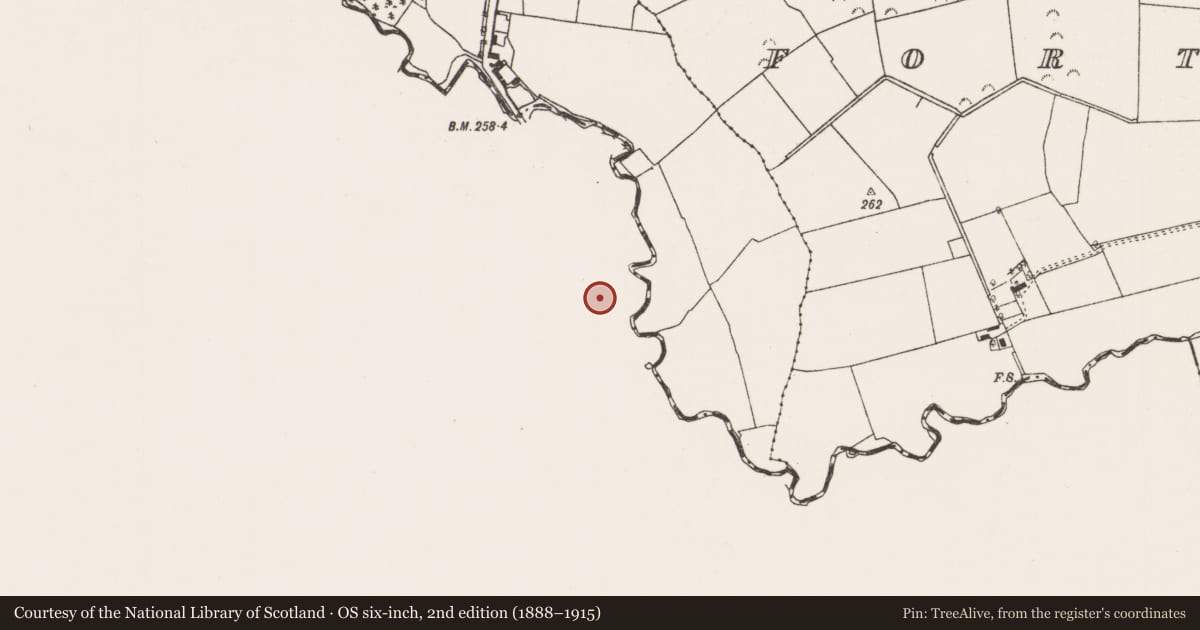 Ordnance Survey six-inch map, 2nd edition (1888–1915) covering the location of Mill - corn, Rusheen, County Cork, with a pin at the register's coordinates