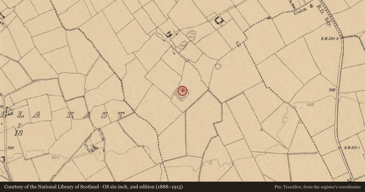 Ordnance Survey six-inch map, 2nd edition (1888–1915) covering the location of Moated site, Coolasmuttane, County Cork, with a pin at the register's coordinates