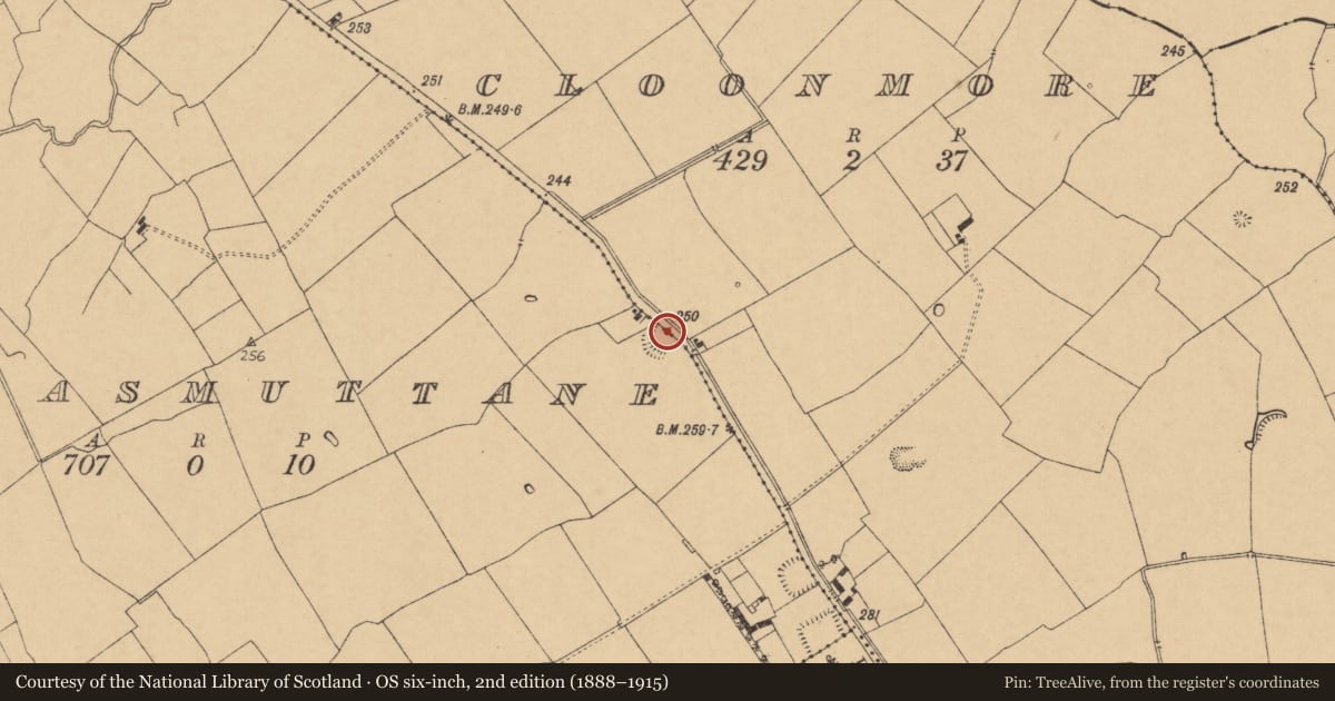 Ordnance Survey six-inch map, 2nd edition (1888–1915) covering the location of Ringfort - rath, Coolasmuttane, County Cork, with a pin at the register's coordinates