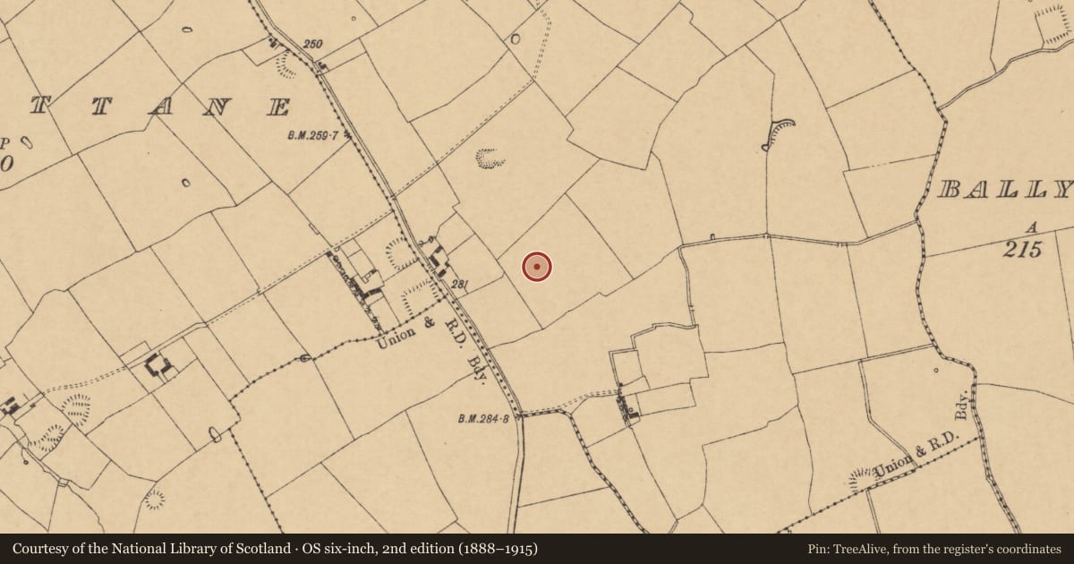 Ordnance Survey six-inch map, 2nd edition (1888–1915) covering the location of Ringfort - rath, Cloonmore, County Cork, with a pin at the register's coordinates