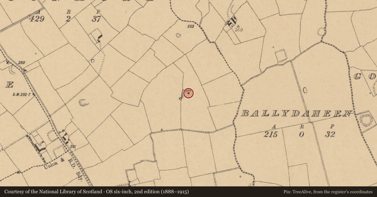 Ordnance Survey six-inch map, 2nd edition (1888–1915) covering the location of Ringfort - rath, Cloonmore, County Cork, with a pin at the register's coordinates