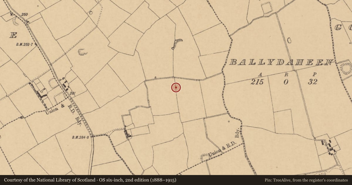 Ordnance Survey six-inch map, 2nd edition (1888–1915) covering the location of Ringfort - rath, Cloonmore, County Cork, with a pin at the register's coordinates
