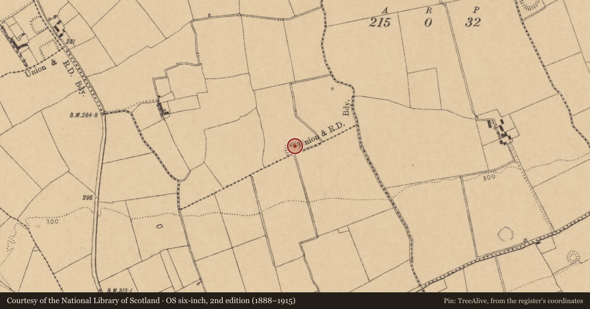 Ordnance Survey six-inch map, 2nd edition (1888–1915) covering the location of Ringfort - rath, Cloonmore, County Cork, with a pin at the register's coordinates