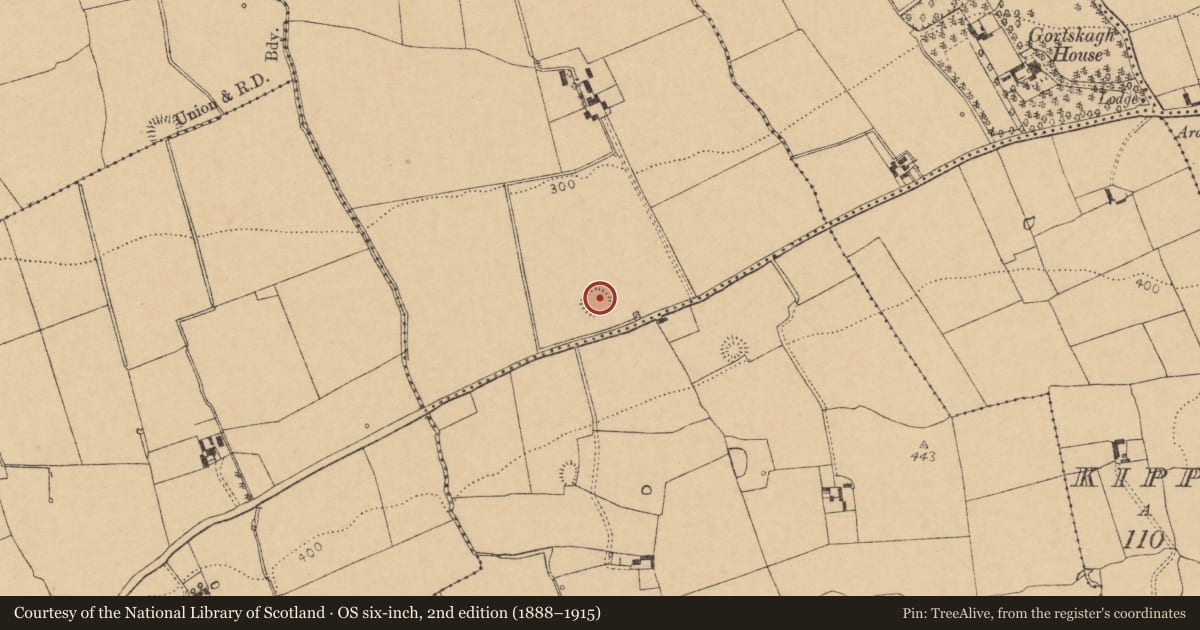 Ordnance Survey six-inch map, 2nd edition (1888–1915) covering the location of Ringfort - rath, Ballydaheen, County Cork, with a pin at the register's coordinates