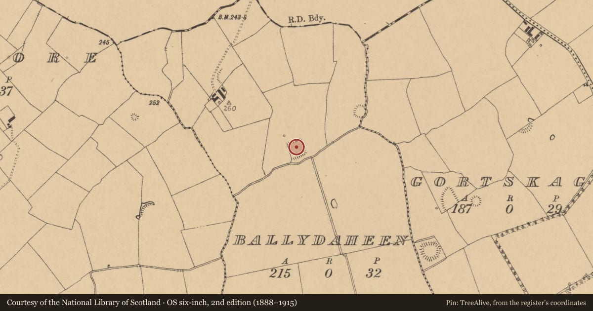 Ordnance Survey six-inch map, 2nd edition (1888–1915) covering the location of Moated site, Ballydaheen, County Cork, with a pin at the register's coordinates