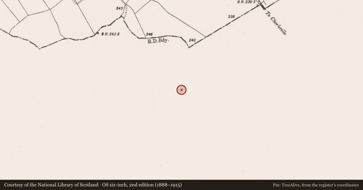 Ordnance Survey six-inch map, 2nd edition (1888–1915) covering the location of Ringfort - rath, Ballydaheen, County Cork, with a pin at the register's coordinates