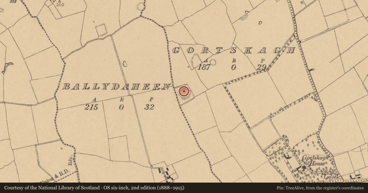 Ordnance Survey six-inch map, 2nd edition (1888–1915) covering the location of Barrow - ring-barrow, Gortskagh, County Cork, with a pin at the register's coordinates