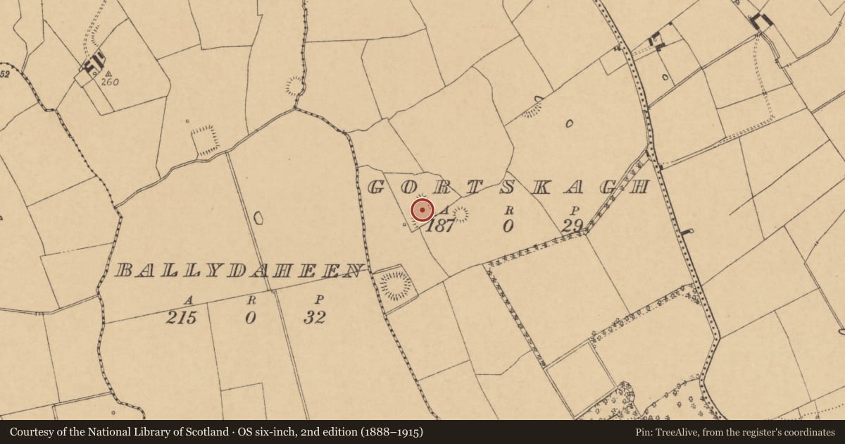 Ordnance Survey six-inch map, 2nd edition (1888–1915) covering the location of Enclosure, Gortskagh, County Cork, with a pin at the register's coordinates