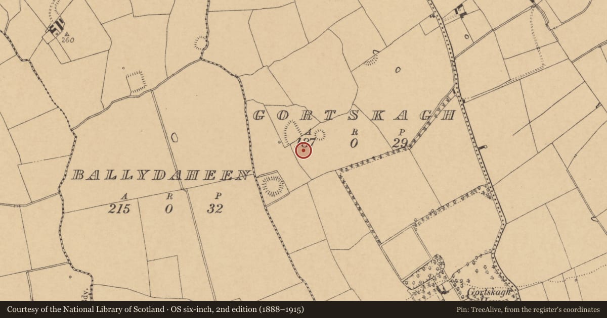Ordnance Survey six-inch map, 2nd edition (1888–1915) covering the location of Earthwork, Gortskagh, County Cork, with a pin at the register's coordinates