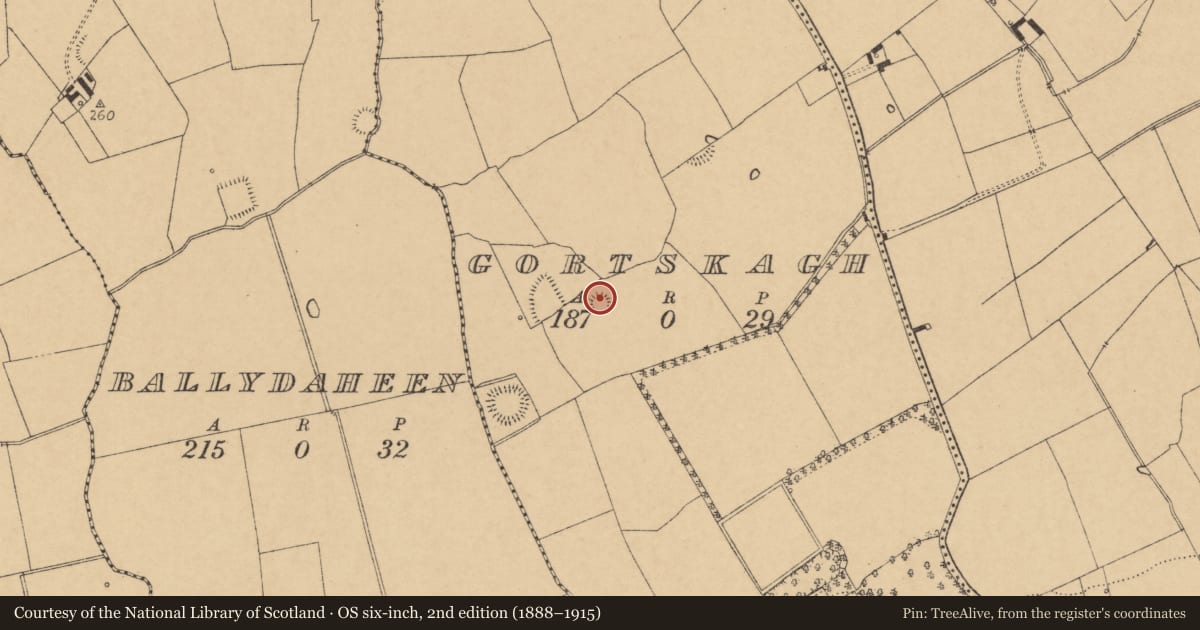 Ordnance Survey six-inch map, 2nd edition (1888–1915) covering the location of Ringfort - rath, Gortskagh, County Cork, with a pin at the register's coordinates