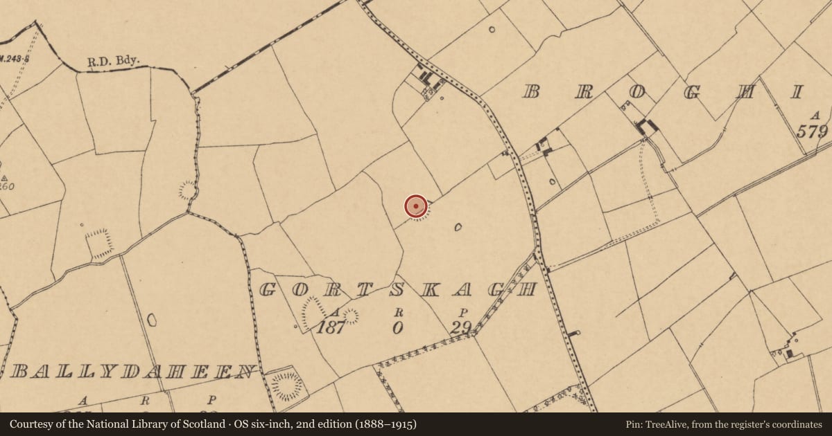 Ordnance Survey six-inch map, 2nd edition (1888–1915) covering the location of Earthwork, Gortskagh, County Cork, with a pin at the register's coordinates