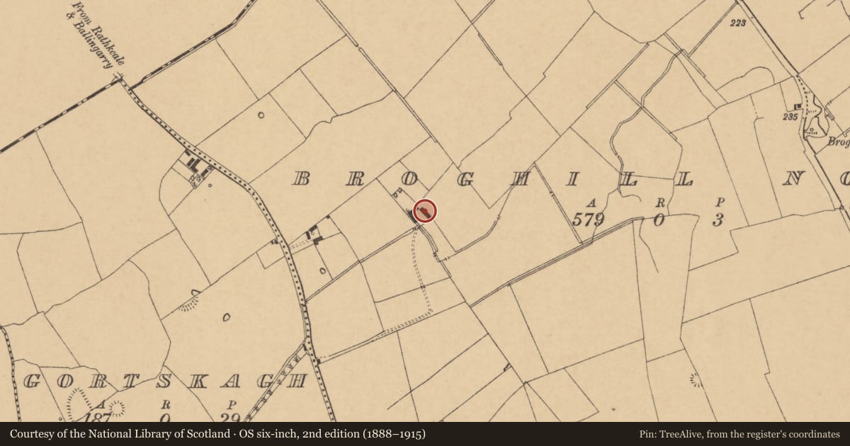 Ordnance Survey six-inch map, 2nd edition (1888–1915) covering the location of House - vernacular house, Broghill North, County Cork, with a pin at the register's coordinates