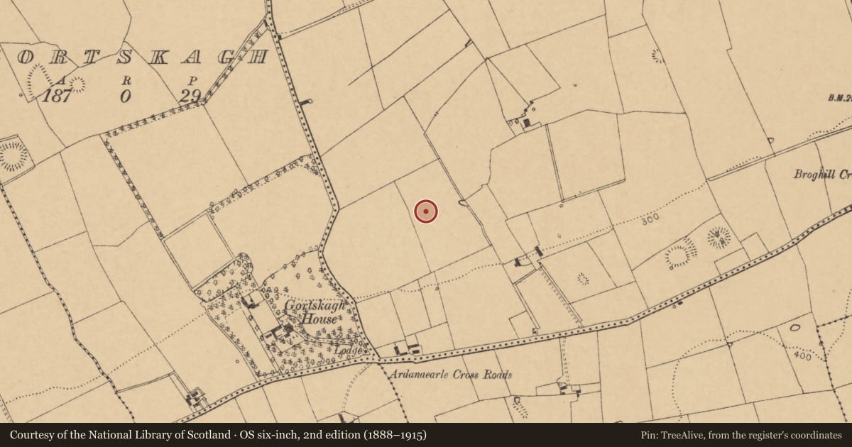 Ordnance Survey six-inch map, 2nd edition (1888–1915) covering the location of Ringfort - rath, Broghill North, County Cork, with a pin at the register's coordinates