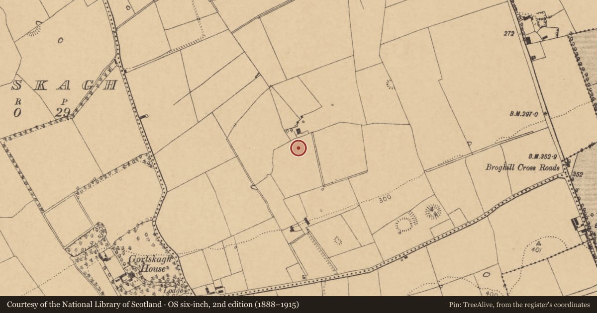 Ordnance Survey six-inch map, 2nd edition (1888–1915) covering the location of Fulacht fia, Broghill North, County Cork, with a pin at the register's coordinates