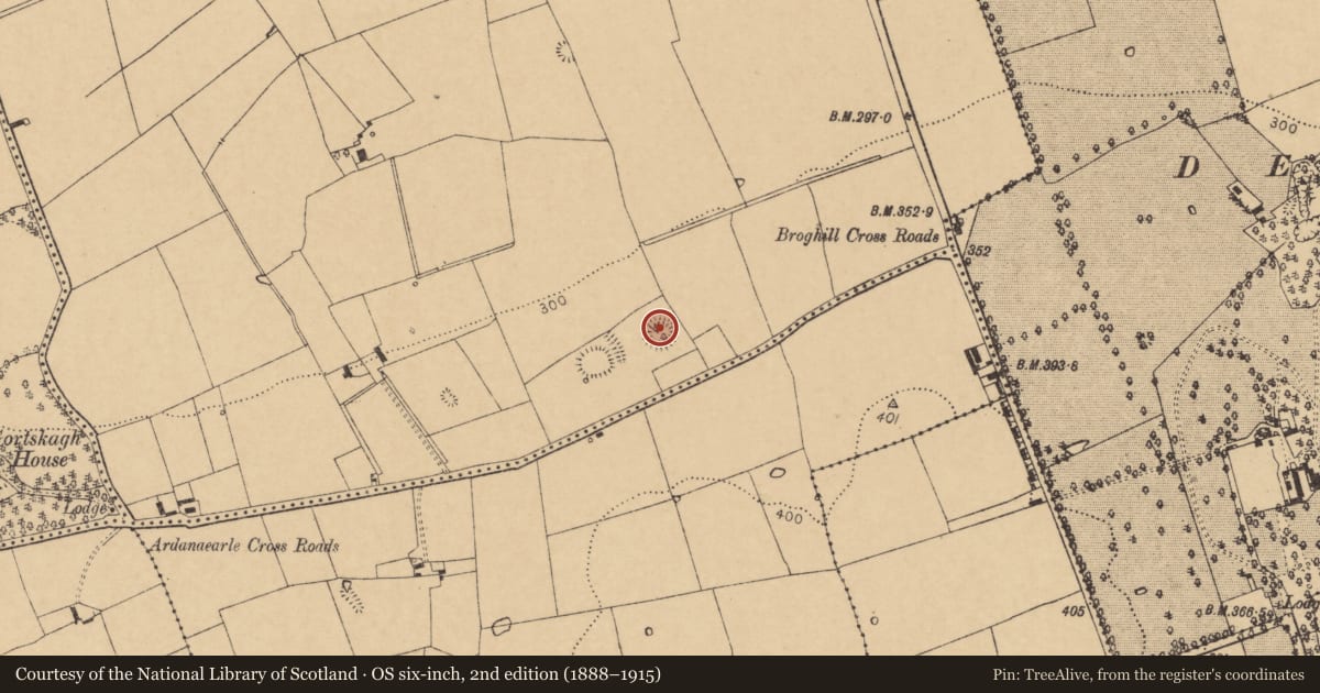 Ordnance Survey six-inch map, 2nd edition (1888–1915) covering the location of Ringfort - rath, Broghill North, County Cork, with a pin at the register's coordinates