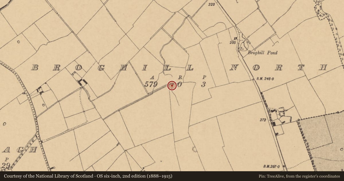 Ordnance Survey six-inch map, 2nd edition (1888–1915) covering the location of Road - road/trackway, Broghill North, County Cork, with a pin at the register's coordinates