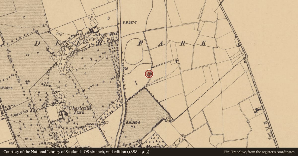 Ordnance Survey six-inch map, 2nd edition (1888–1915) covering the location of Ringfort - rath, Rathgoggan North, County Cork, with a pin at the register's coordinates