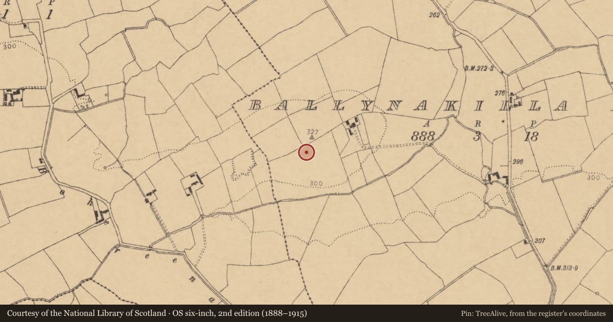 Ordnance Survey six-inch map, 2nd edition (1888–1915) covering the location of Burial, Ballynakilla East, County Cork, with a pin at the register's coordinates