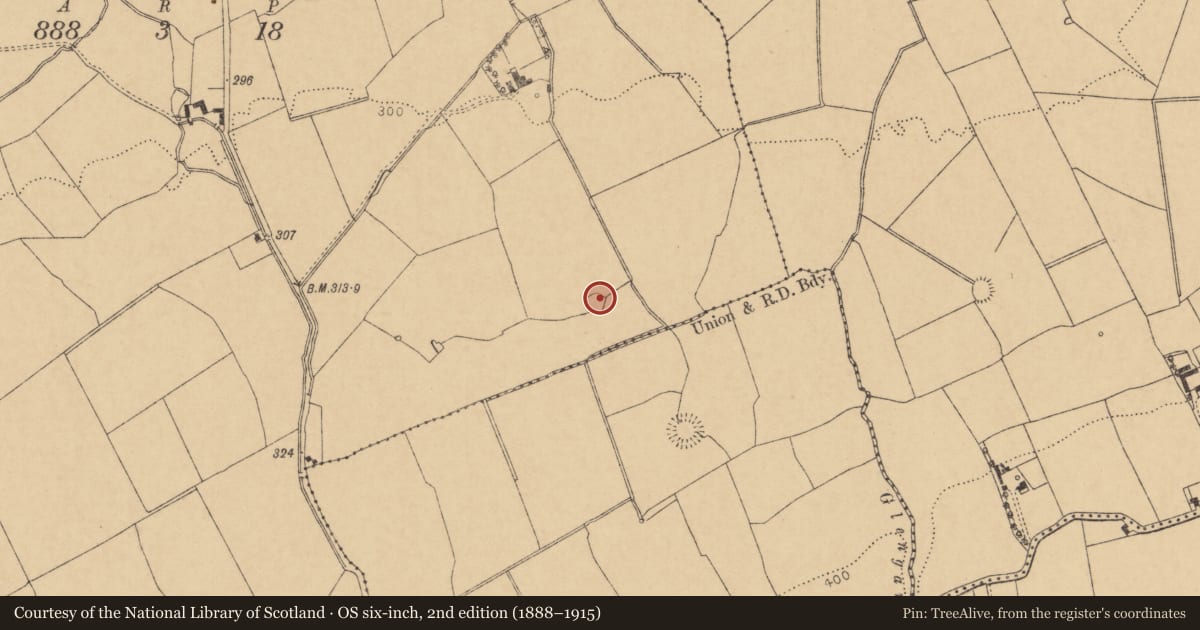 Ordnance Survey six-inch map, 2nd edition (1888–1915) covering the location of Ringfort - rath, Ballynakilla East, County Cork, with a pin at the register's coordinates