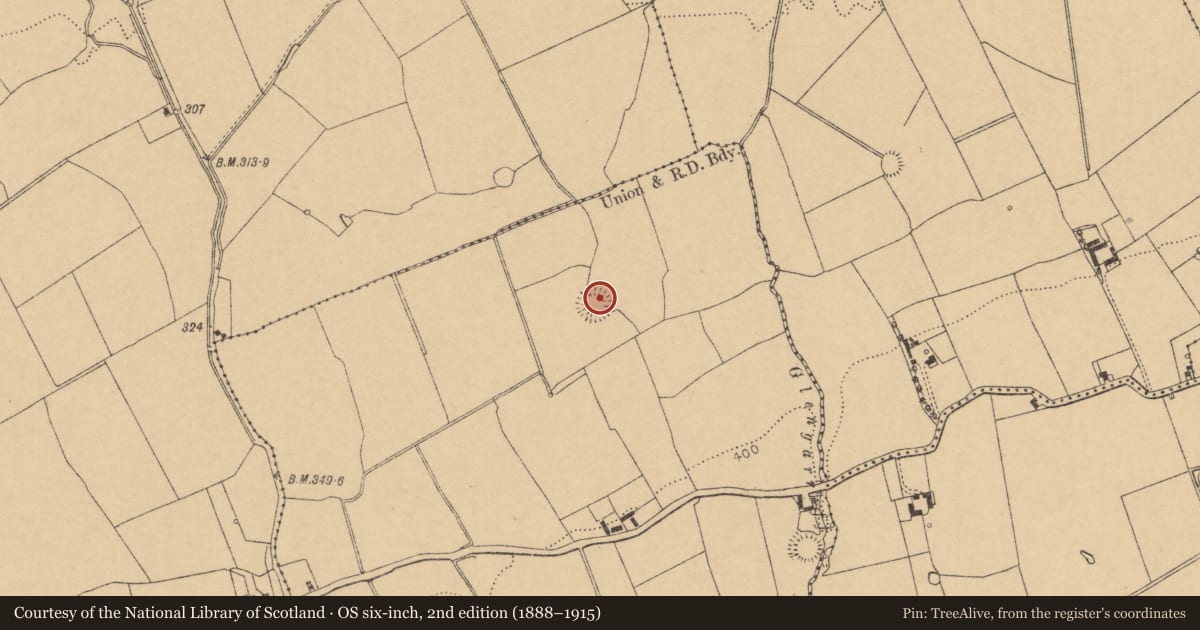 Ordnance Survey six-inch map, 2nd edition (1888–1915) covering the location of Ringfort - rath, Glengarriff, County Cork, with a pin at the register's coordinates