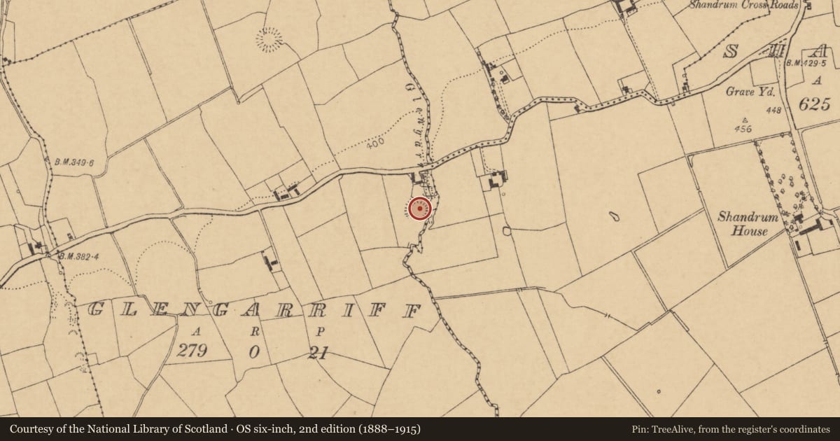 Ordnance Survey six-inch map, 2nd edition (1888–1915) covering the location of Castle - motte, Glengarriff, County Cork, with a pin at the register's coordinates