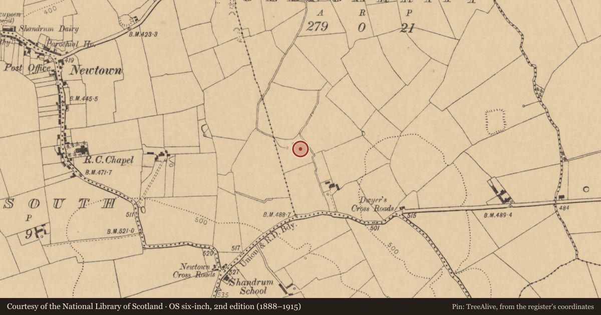 Ordnance Survey six-inch map, 2nd edition (1888–1915) covering the location of Ringfort - rath, Glengarriff, County Cork, with a pin at the register's coordinates