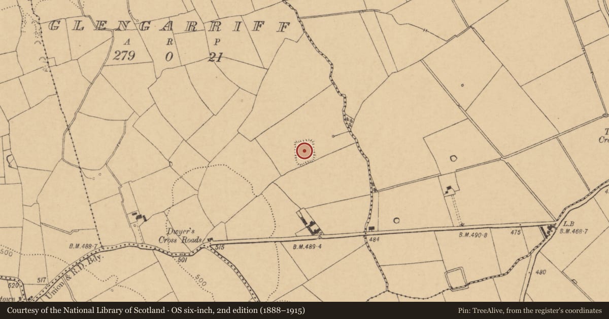 Ordnance Survey six-inch map, 2nd edition (1888–1915) covering the location of Moated site, Glengarriff, County Cork, with a pin at the register's coordinates