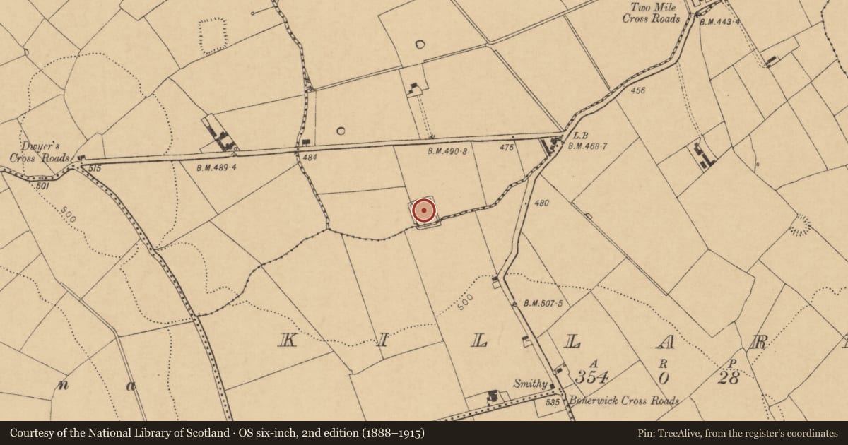 Ordnance Survey six-inch map, 2nd edition (1888–1915) covering the location of Moated site, Killaree, Shandrum, County Cork, with a pin at the register's coordinates